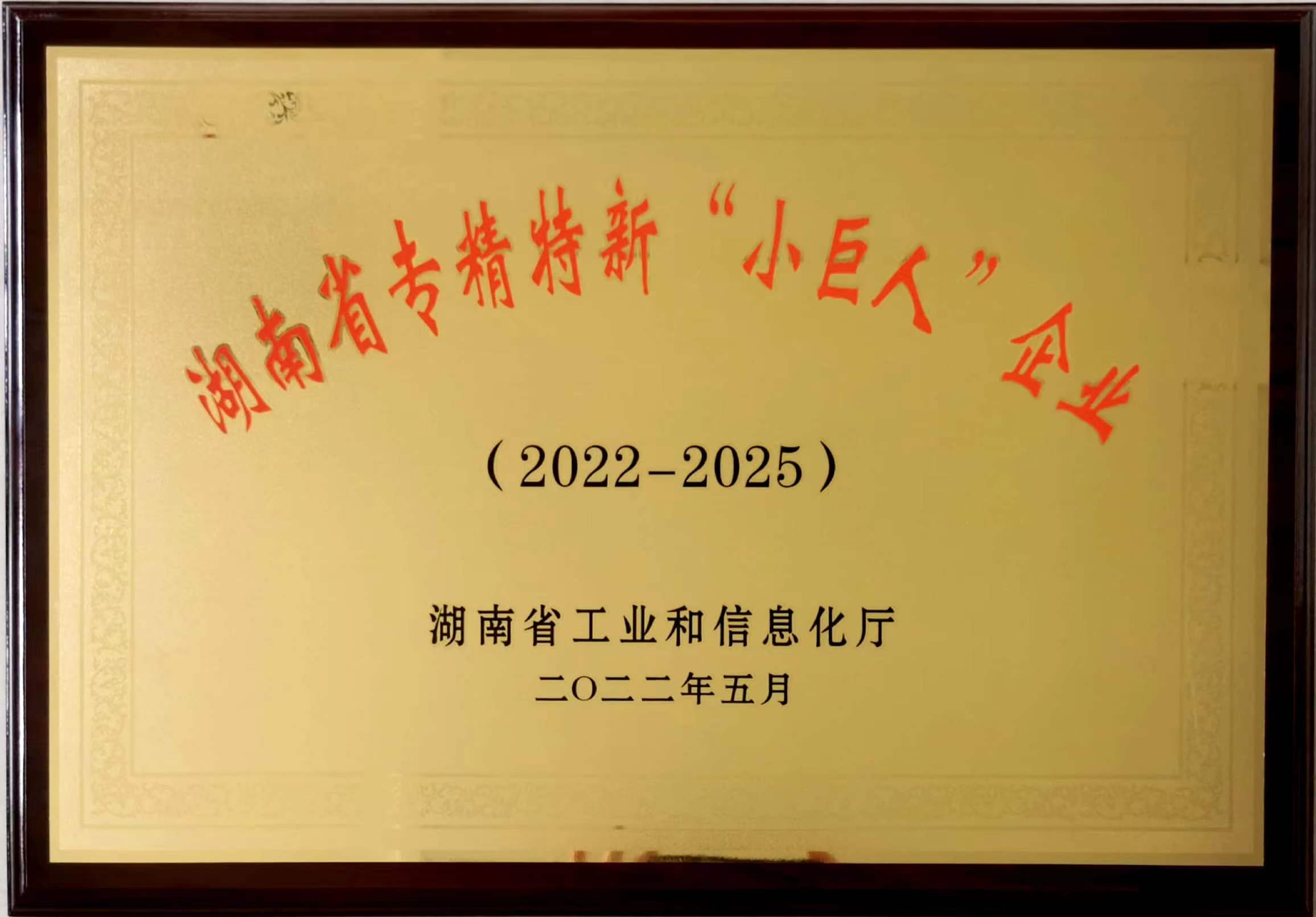 湖南省專精特新“小巨人”企業（yè）